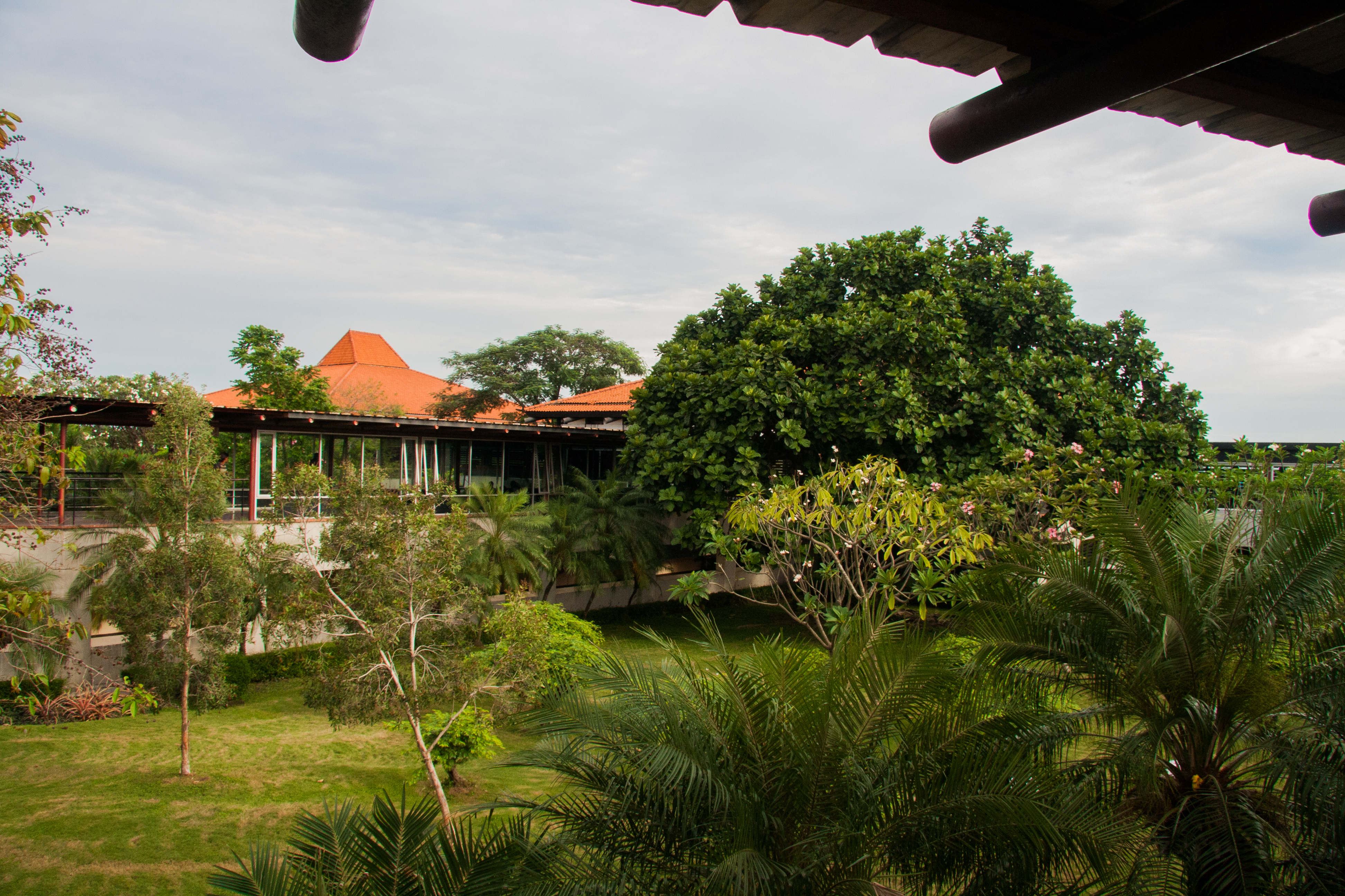 The airport of jakarta is surrounded by green and vital nature and stands in great contrast to the city itself